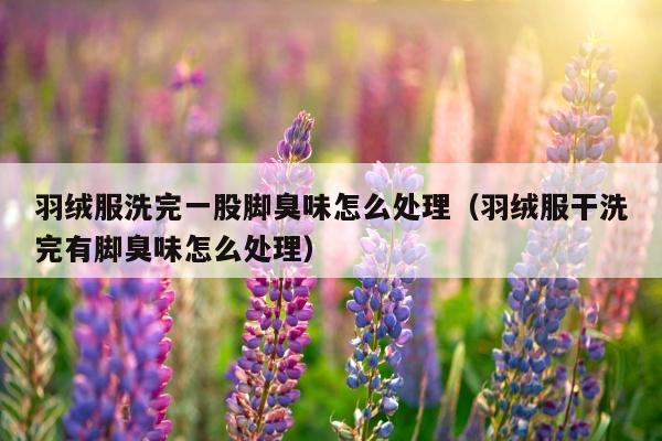 羽绒服洗完一股脚臭味怎么处理（羽绒服干洗完有脚臭味怎么处理）