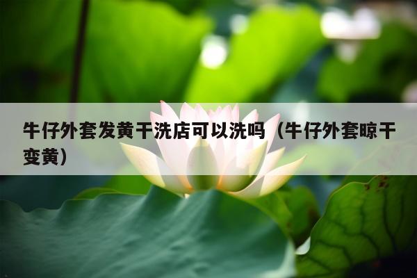 牛仔外套发黄干洗店可以洗吗（牛仔外套晾干变黄）