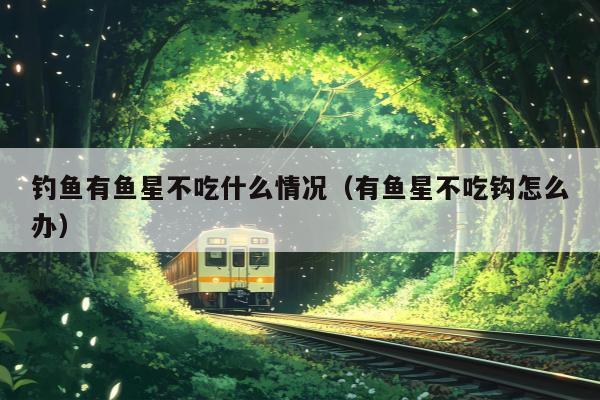 钓鱼有鱼星不吃什么情况（有鱼星不吃钩怎么办）
