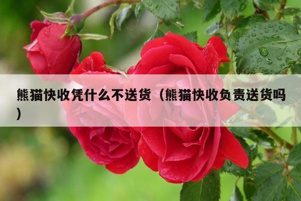 熊猫快收凭什么不送货（熊猫快收负责送货吗）