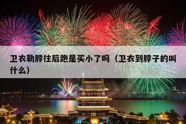 卫衣勒脖往后跑是买小了吗（卫衣到脖子的叫什么）