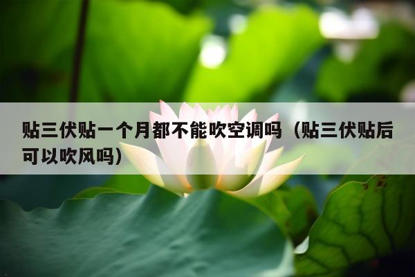 贴三伏贴一个月都不能吹空调吗（贴三伏贴后可以吹风吗）