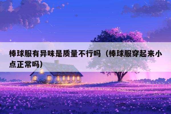 棒球服有异味是质量不行吗（棒球服穿起来小点正常吗）