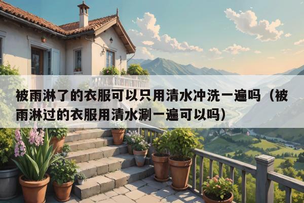 被雨淋了的衣服可以只用清水冲洗一遍吗（被雨淋过的衣服用清水涮一遍可以吗）