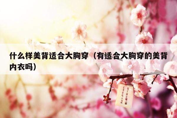 什么样美背适合大胸穿（有适合大胸穿的美背内衣吗）