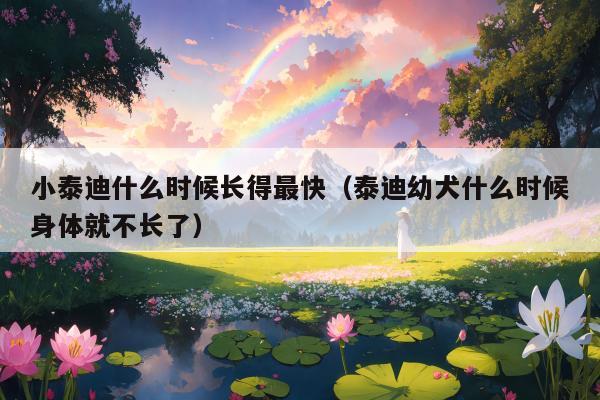 小泰迪什么时候长得最快（泰迪幼犬什么时候身体就不长了）