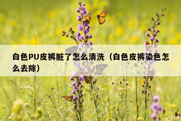 白色PU皮裤脏了怎么清洗（白色皮裤染色怎么去除）