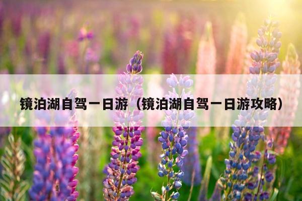 镜泊湖自驾一日游（镜泊湖自驾一日游攻略）