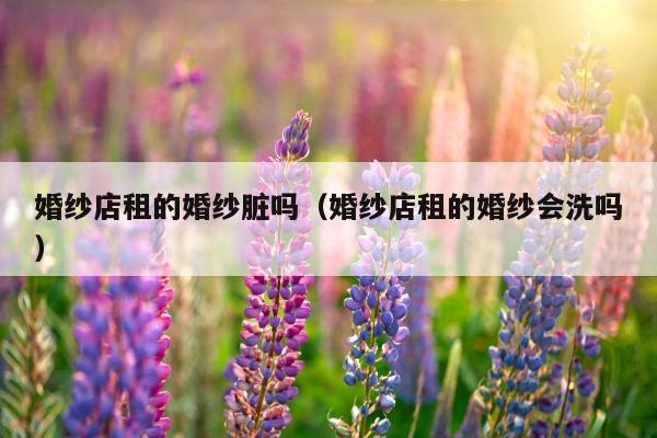 婚纱店租的婚纱脏吗（婚纱店租的婚纱会洗吗）