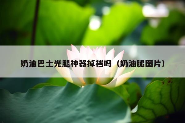 奶油巴士光腿神器掉裆吗（奶油腿图片）