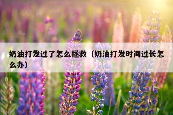 奶油打发过了怎么拯救（奶油打发时间过长怎么办）
