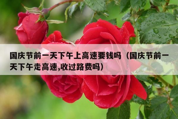 国庆节前一天下午上高速要钱吗（国庆节前一天下午走高速,收过路费吗）