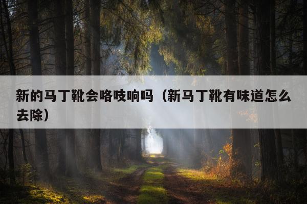 新的马丁靴会咯吱响吗（新马丁靴有味道怎么去除）