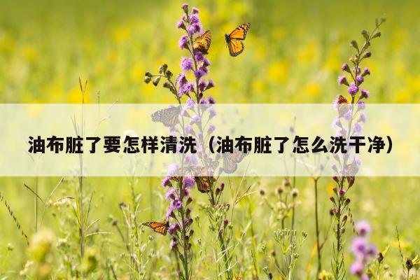 油布脏了要怎样清洗（油布脏了怎么洗干净）