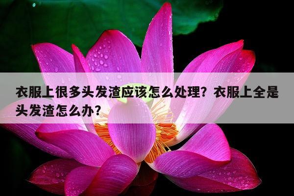 衣服上很多头发渣应该怎么处理？衣服上全是头发渣怎么办？