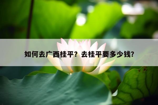 如何去广西桂平？去桂平要多少钱？