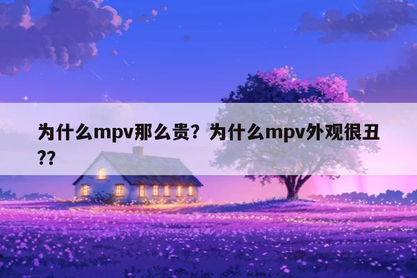 为什么mpv那么贵？为什么mpv外观很丑?？