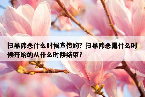 扫黑除恶什么时候宣传的？扫黑除恶是什么时候开始的从什么时候结束？