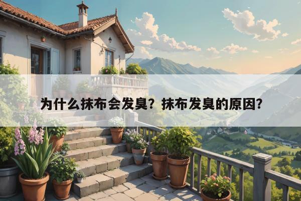 为什么抹布会发臭？抹布发臭的原因？