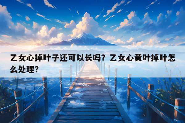 乙女心掉叶子还可以长吗？乙女心黄叶掉叶怎么处理？