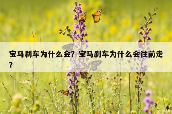 宝马刹车为什么会？宝马刹车为什么会往前走？
