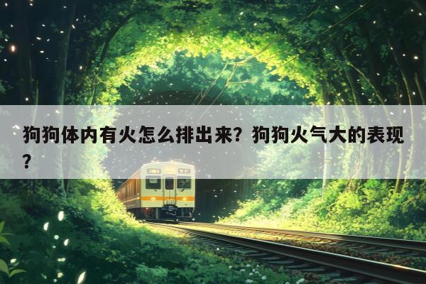 狗狗体内有火怎么排出来？狗狗火气大的表现？