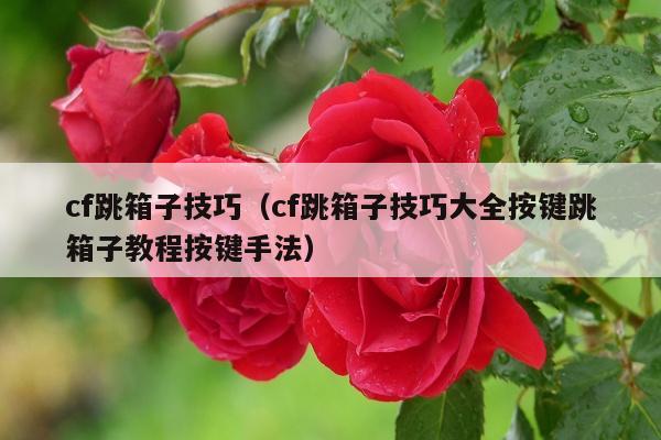 cf跳箱子技巧（cf跳箱子技巧大全按键跳箱子教程按键手法）