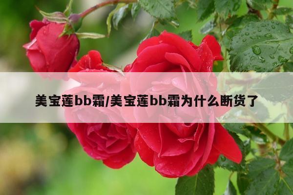 美宝莲bb霜/美宝莲bb霜为什么断货了