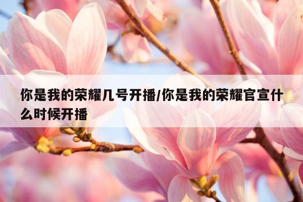 你是我的荣耀几号开播/你是我的荣耀官宣什么时候开播