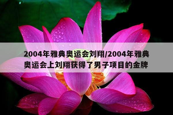 2004年雅典奥运会刘翔/2004年雅典奥运会上刘翔获得了男子项目的金牌