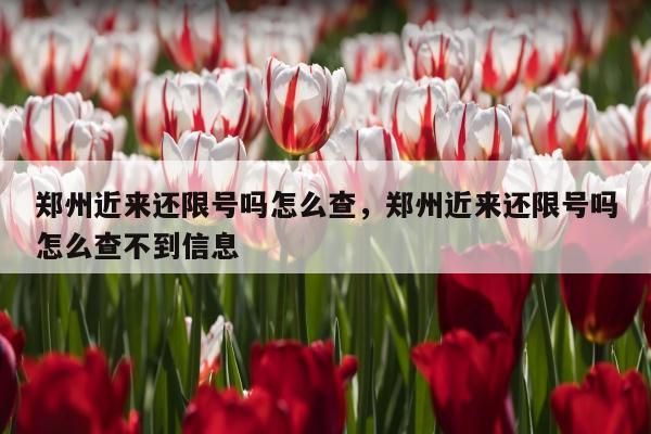 郑州近来还限号吗怎么查，郑州近来还限号吗怎么查不到信息