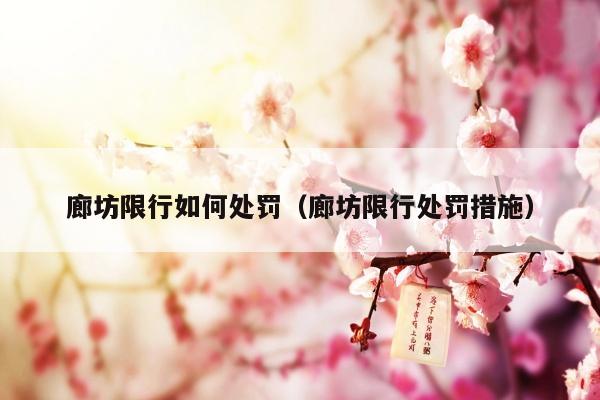 廊坊限行如何处罚（廊坊限行处罚措施）