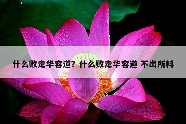 什么败走华容道？什么败走华容道 不出所料