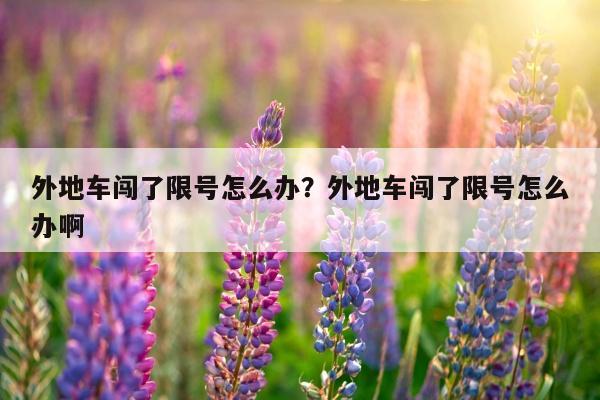 外地车闯了限号怎么办？外地车闯了限号怎么办啊