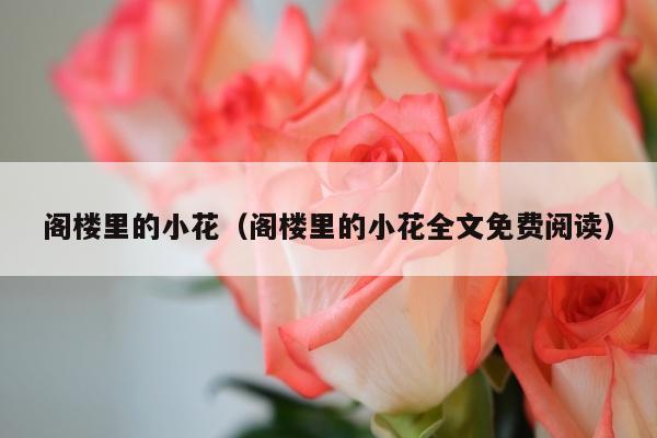 阁楼里的小花（阁楼里的小花全文免费阅读）