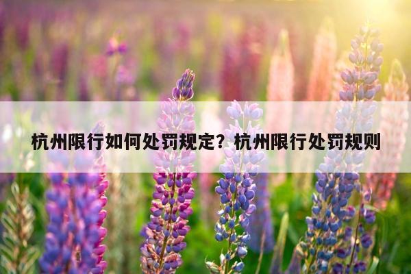 杭州限行如何处罚规定？杭州限行处罚规则