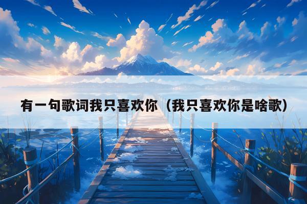 有一句歌词我只喜欢你（我只喜欢你是啥歌）
