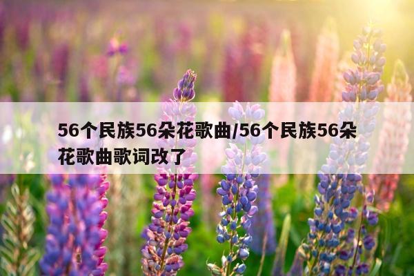 56个民族56朵花歌曲/56个民族56朵花歌曲歌词改了