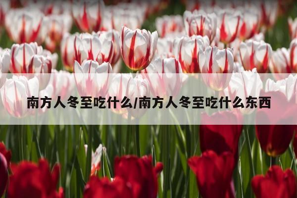 南方人冬至吃什么/南方人冬至吃什么东西