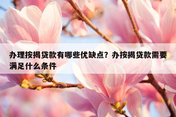 办理按揭贷款有哪些优缺点？办按揭贷款需要满足什么条件