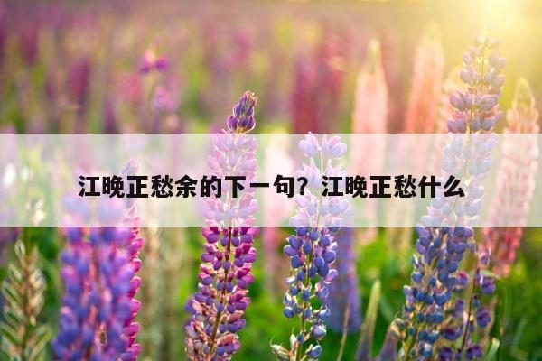 江晚正愁余的下一句？江晚正愁什么
