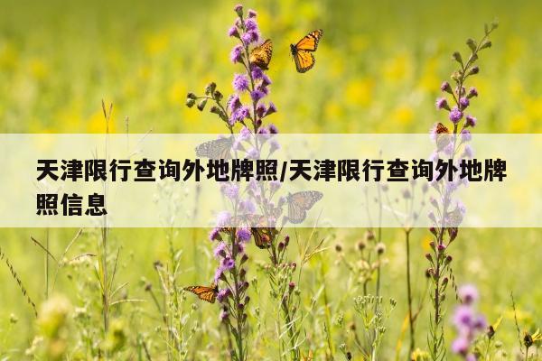 天津限行查询外地牌照/天津限行查询外地牌照信息