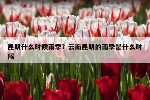 昆明什么时候雨季？云南昆明的雨季是什么时候