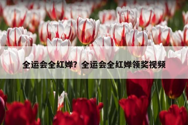 全运会全红婵？全运会全红婵领奖视频