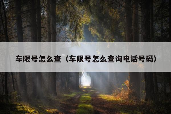 车限号怎么查（车限号怎么查询电话号码）