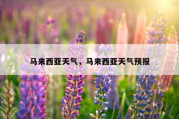 马来西亚天气，马来西亚天气预报
