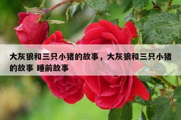 大灰狼和三只小猪的故事，大灰狼和三只小猪的故事 睡前故事