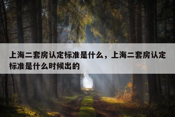 上海二套房认定标准是什么，上海二套房认定标准是什么时候出的