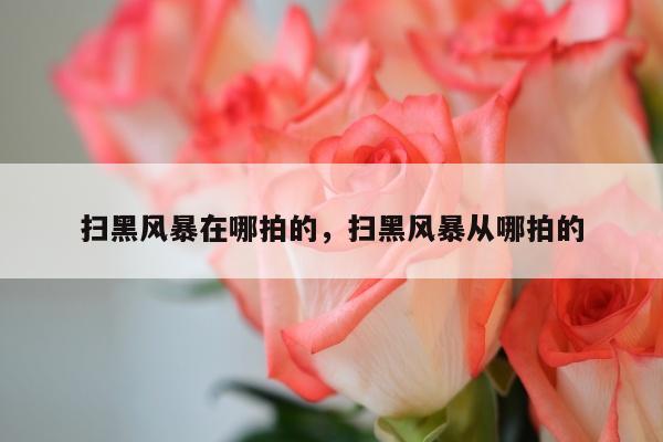 扫黑风暴在哪拍的，扫黑风暴从哪拍的