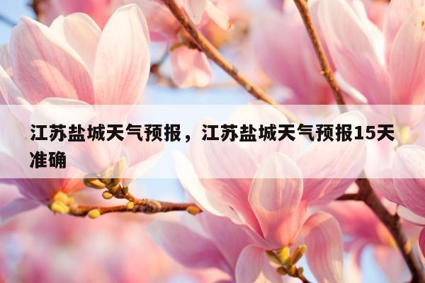 江苏盐城天气预报，江苏盐城天气预报15天准确